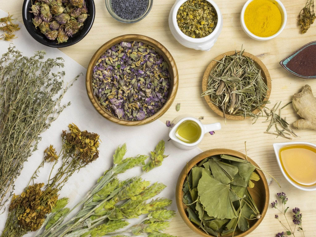 Herbs for Optimal Gut Health - Trunish Lifescience