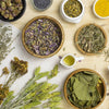 Herbs for Optimal Gut Health - Trunish Lifescience