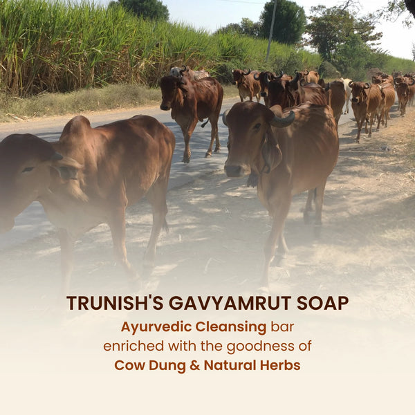 Gavyamrut Soap